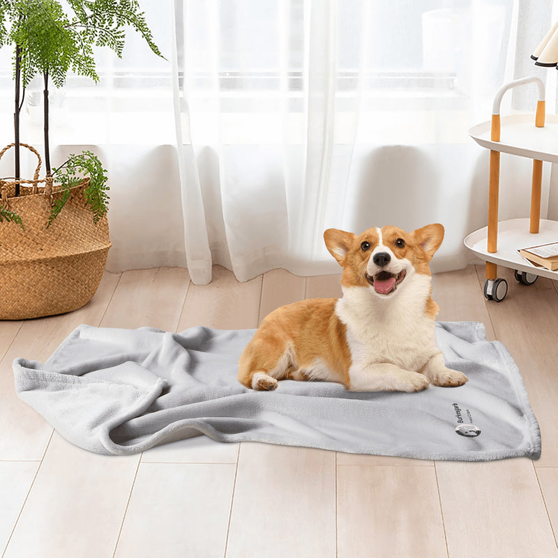 "Indulge Your Furry Friend with the Burkesgarb Pets Flannel Bed Blanket - Soft and Cozy for the Ultimate Nap Time Experience!"