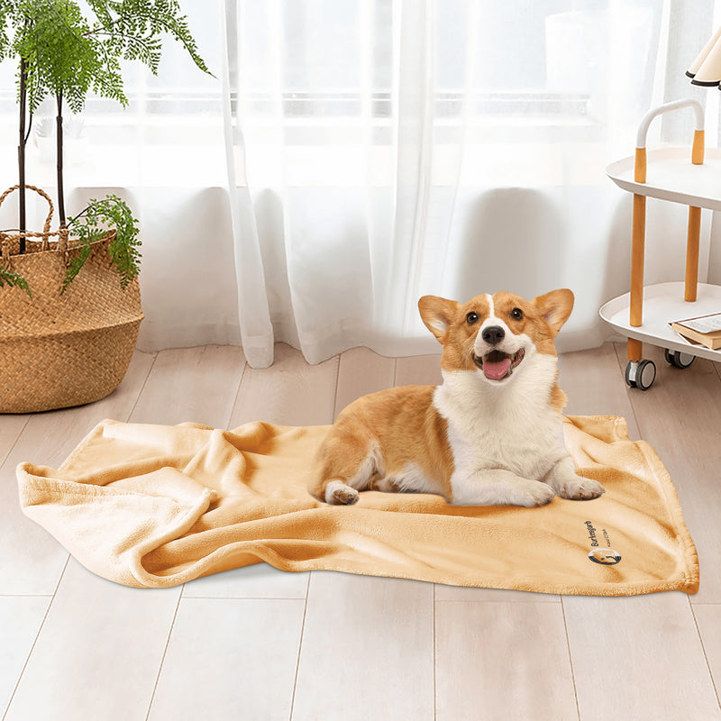 "Indulge Your Furry Friend with the Burkesgarb Pets Flannel Bed Blanket - Soft and Cozy for the Ultimate Nap Time Experience!"