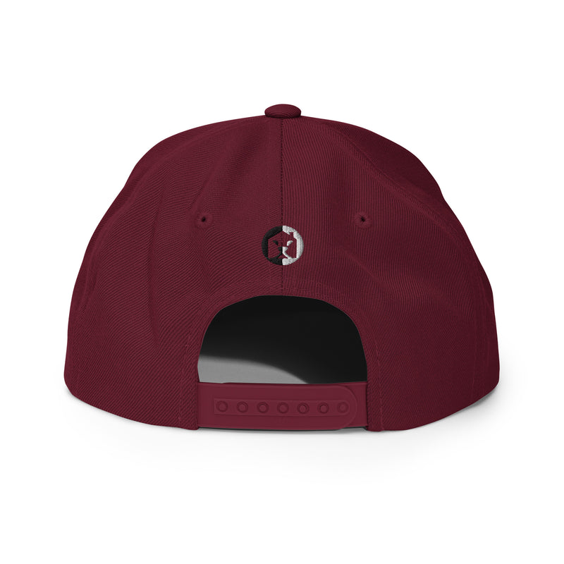 "Complete Your Look with Burkesgarb Embroidered BG Snapback Hat"