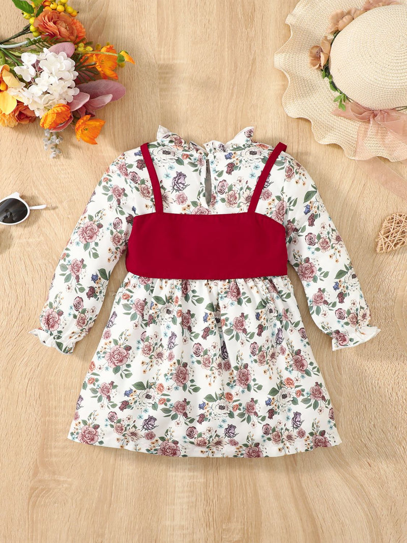 Floral Print Frill Trim Flounce Sleeve Dress