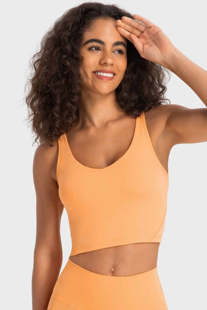 Enhance Your Workout Style with the Deep V-Neck Crop Sports Bra at Burkesgarb