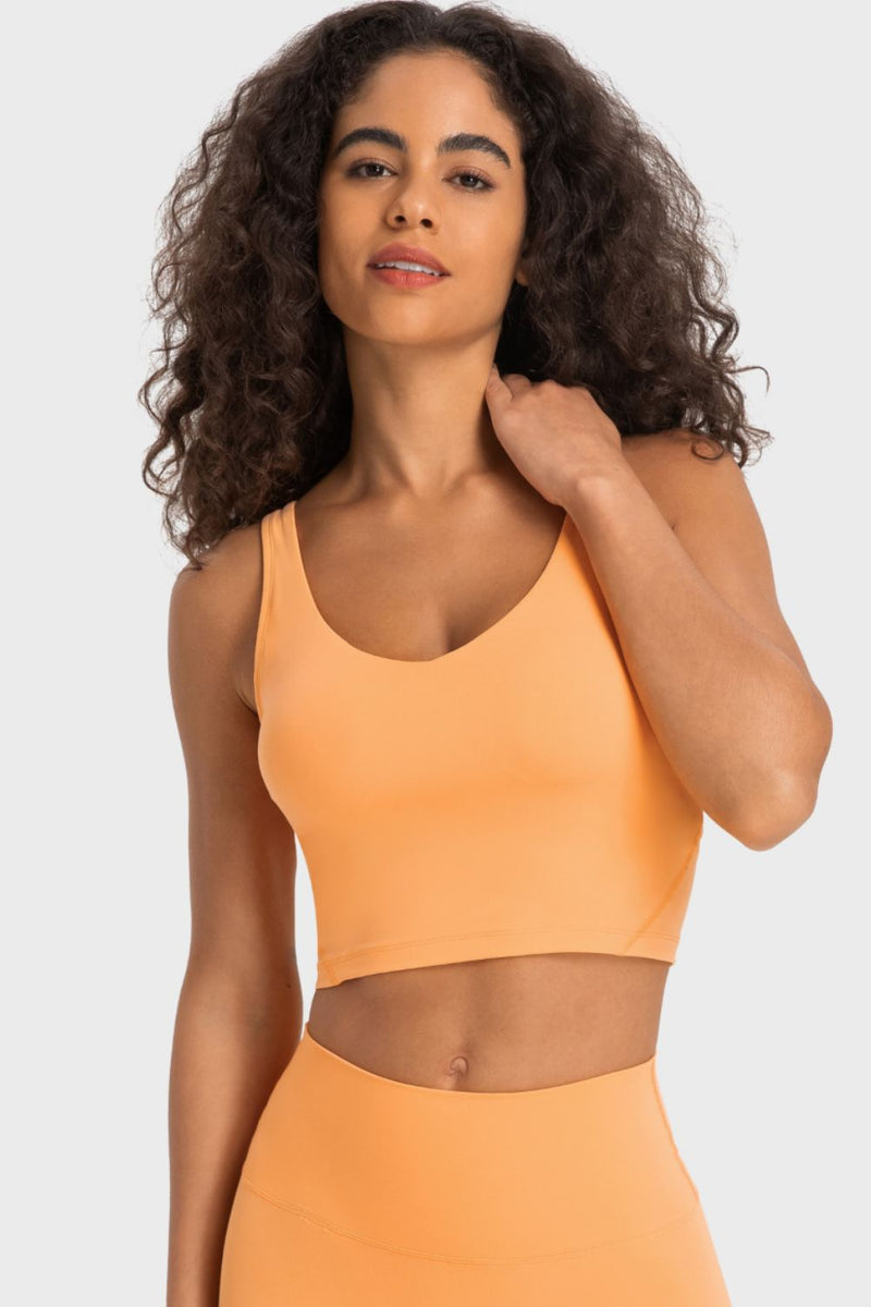 Enhance Your Workout Style with the Deep V-Neck Crop Sports Bra at Burkesgarb