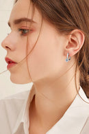 "Burkesgarb Sparkling Brilliance: 2 Carat Moissanite Sterling Silver Earrings"