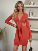 "Flaunt Your Style with the Cutout Twisted Front Plunge Neck Mini Dress at Burkesgarb